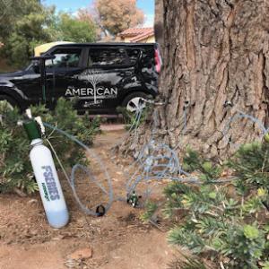 All American Arborist