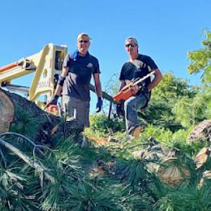 Top Choice Tree Care Service