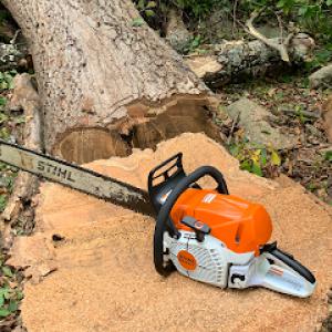 Love's Tree Service & Systems