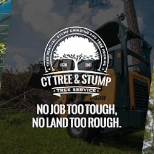 CT Tree & Stump