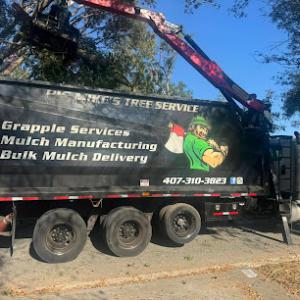 Big Mike's Tree Service