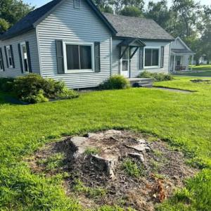 Noah's Stump Grinding