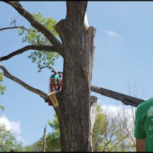 Great Plains Tree Care