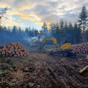 Simpson Tree Service