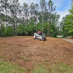 Holbrook Tree Services