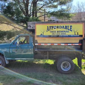 Affordable Tree Removal
