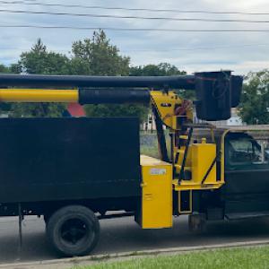 Ameliorate Tree & Landscaping
