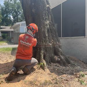 Grateful Tree Service