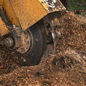 T&A Stump Grinding