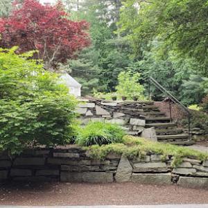 Chappell Tree & Landscape