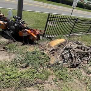 Stump Grind Pro