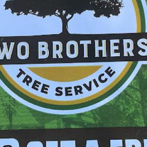 Two brothers tree care