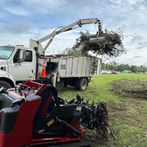JUNGLE TREE & DEBRIS Outdoor Services