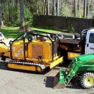 Busy Beaver Stump Removal