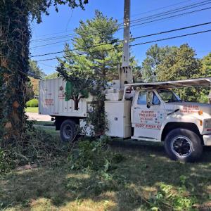 Poor Boy Tree Service