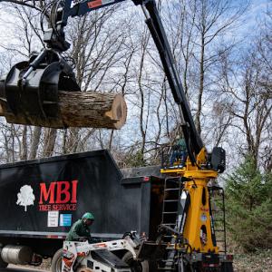 MBI Tree Service
