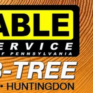Reliable Tree Service