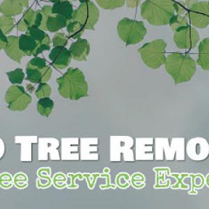 3D Tree Removal Service
