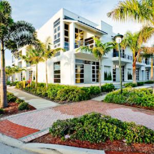 Robles Tree Service & Landscaping