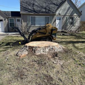 Gillis Lawn & Tree Care