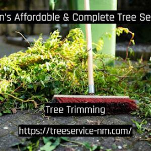 Teran's Affordable & Complete Tree Service