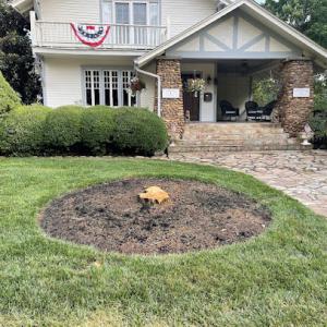 Southern Stumps Outdoor Services