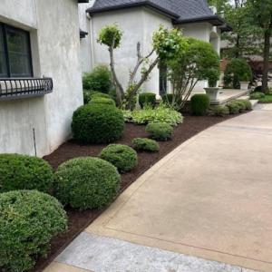 Garcia Lawn Care Solutions