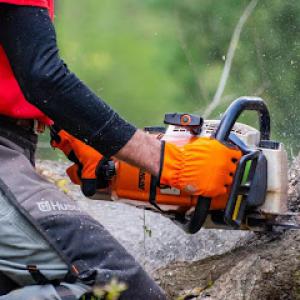 TTM Tree Service & Landscaping