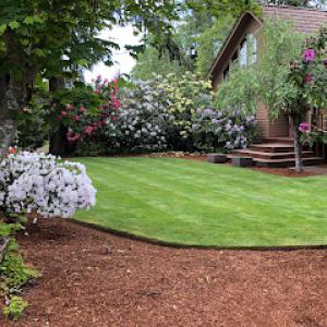 Mago Landscaping Services
