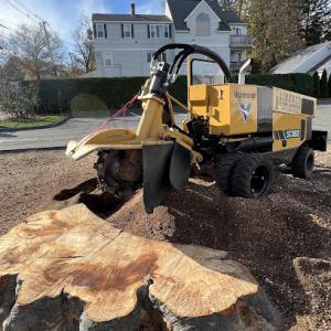Liberty Stump Grinding