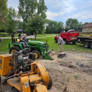MJH Stump Removal