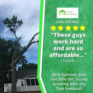 Central VA Tree Removal