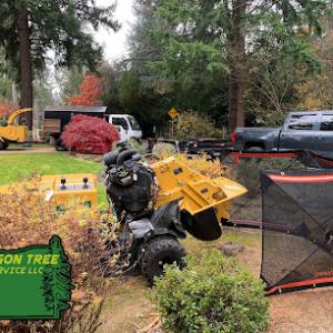 Oregon Tree Service