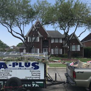A Plus Construction & Tree service