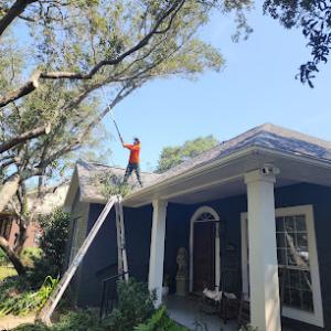 Arbor Elite Tree Service