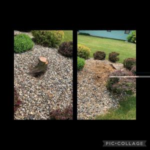 GRIND CO. Stump Grinding & Tree Service