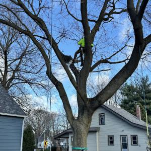 Sabol & Son’s Property Maintenance