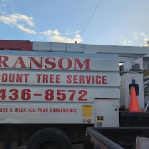 Ransom Discount Tree Service