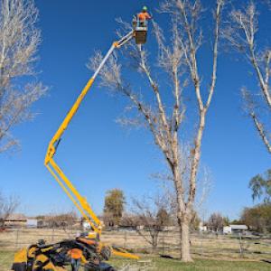 New Heights Tree Service