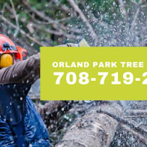 Orland Park Tree Services