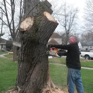 Lafayette Tree Service