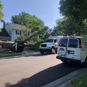 Mtz Professional Tree Service