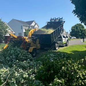 Branch Out Tree Care