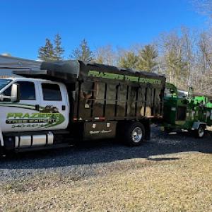 Frazier's Tree Experts