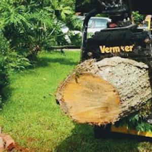 C&L Landscaping, Trees & General Contractor