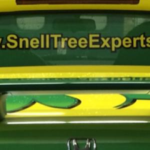 Snell Tree Experts