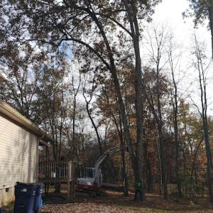 Gooch tree service & Stump Grinding