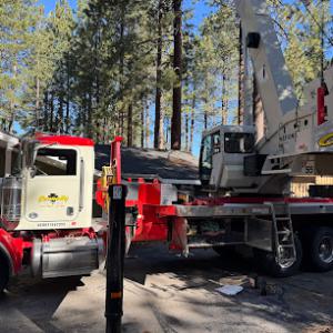 Joe Benigno's Tree Services