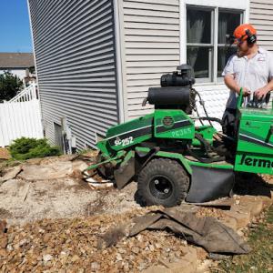 MJ Landworks Tree Service