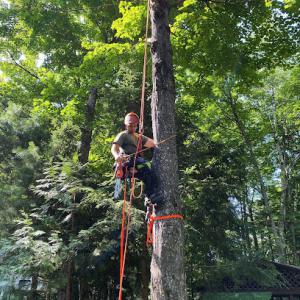 Teekers Tree Service